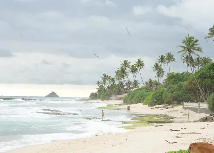 Surf Orchid Villa